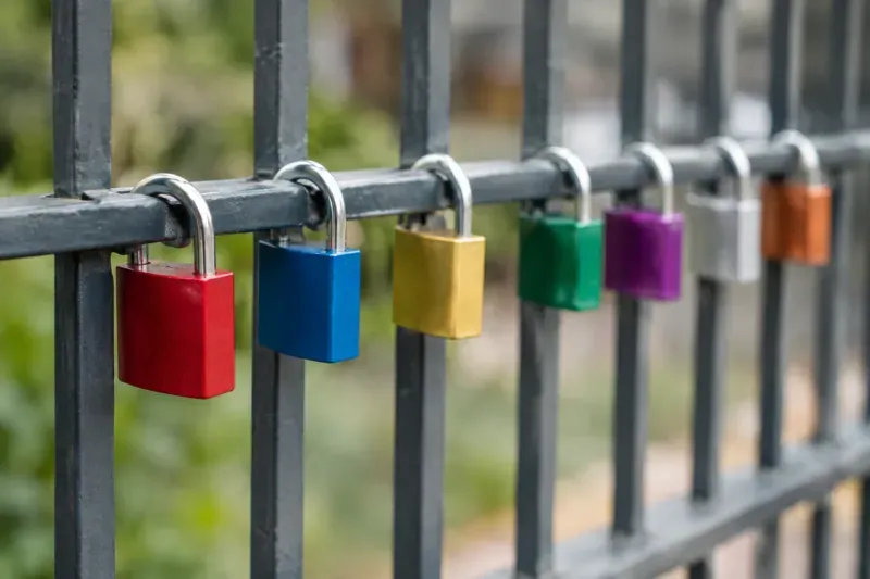 Fila di lucchetti di colori diversi appesi a una recinzione, uno per ogni accesso